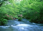 清溪水流