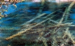 湖光山色