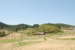 夏季山野