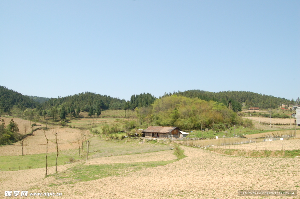 夏季山野