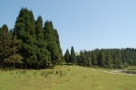 夏季山野