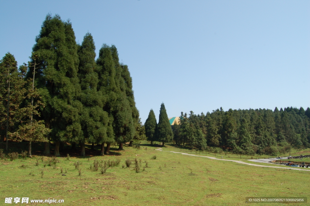 夏季山野