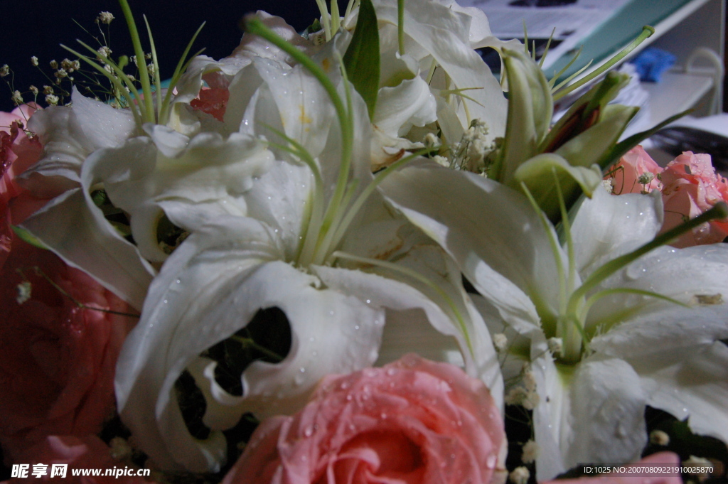 百合花