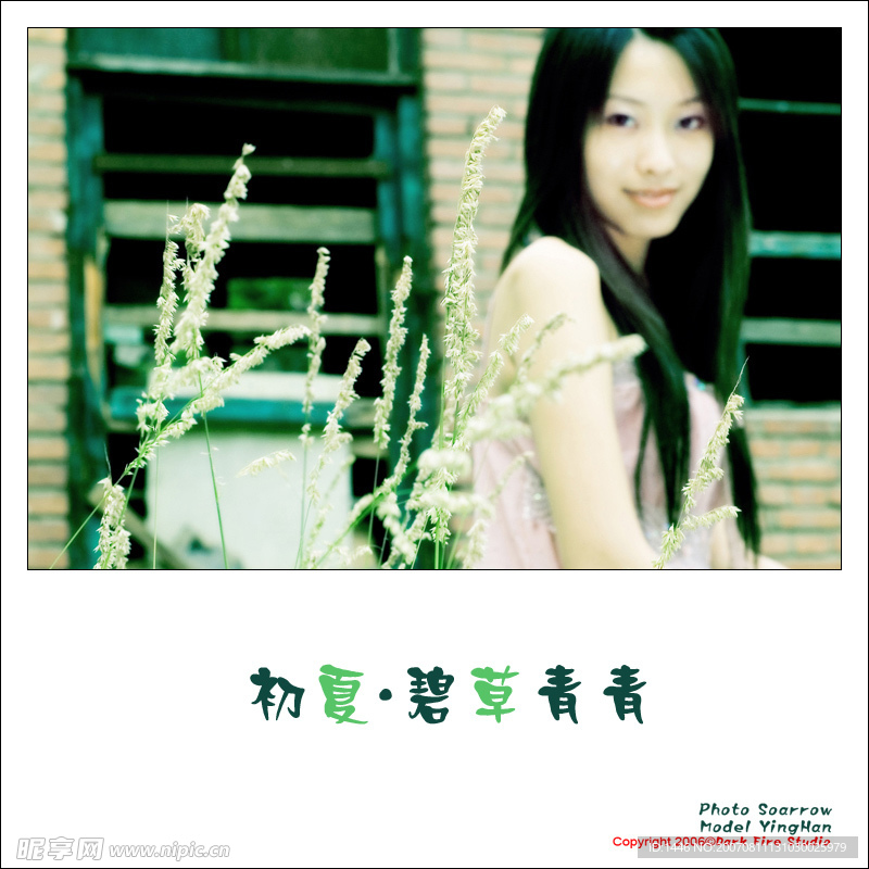 美女写真