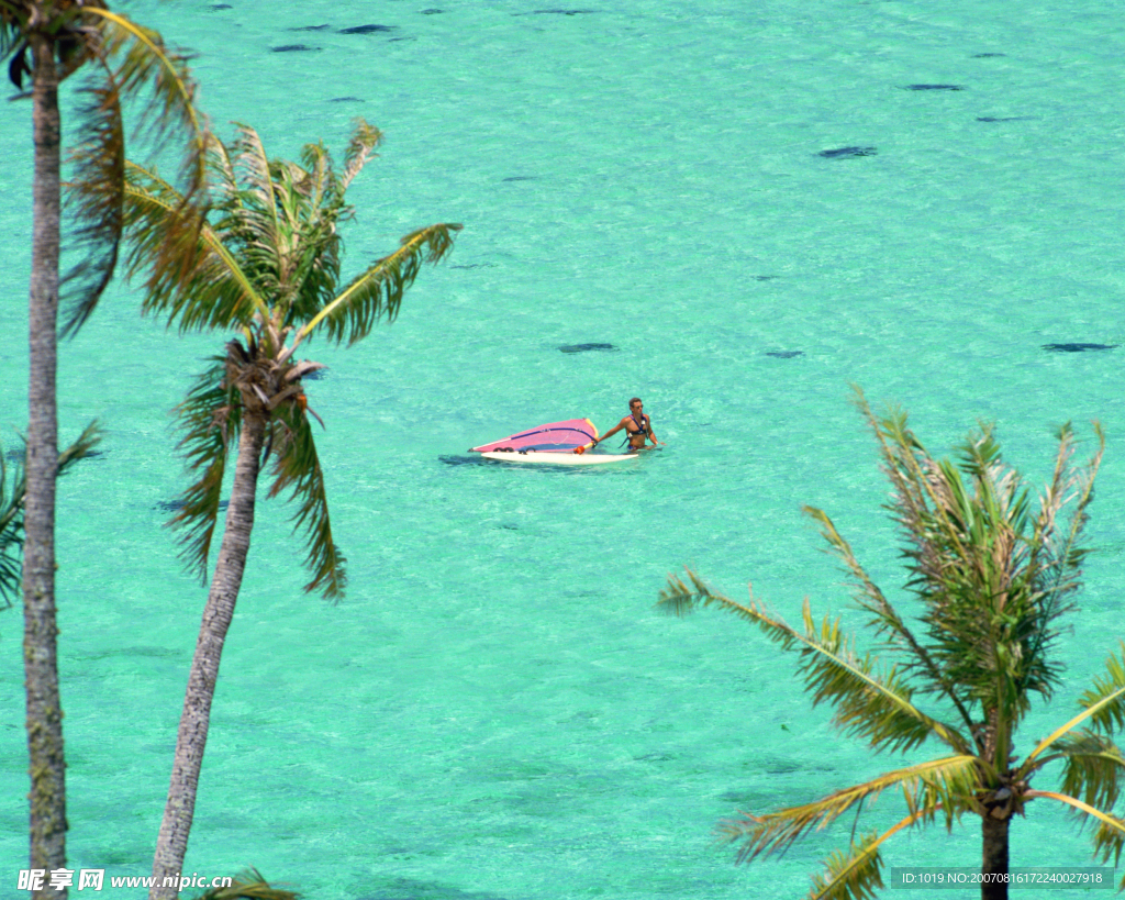 海