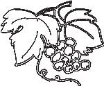 葡萄