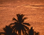 夕阳下的大海