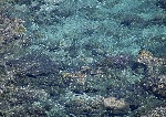 清澈的海水