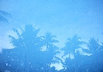 海水倒影