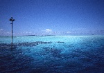 大海