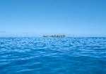 海中岛