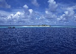 大海
