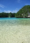 海岛 小岛