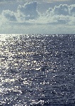 海水
