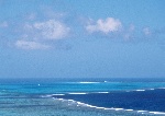 大海