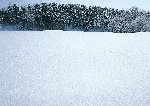 美丽雪景
