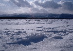 雪地雪景