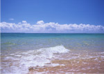 大海浪花