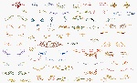 矢量纹样