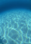 清澈的海水