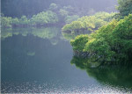青山绿水