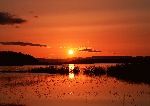 夕阳