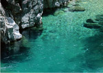 山泉