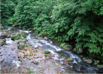 山间小溪