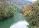 林间溪流