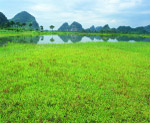 草地河流山坡