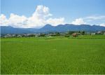 田园乡村