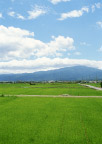 田园乡村