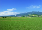 田园村庄