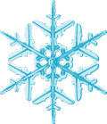 雪花