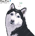 狼