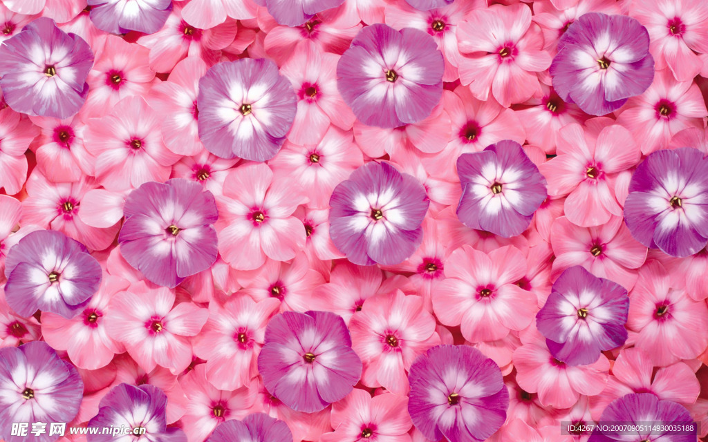 花