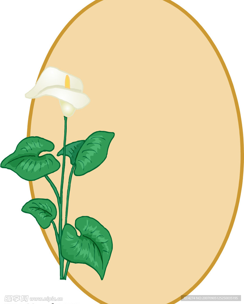 花卉边框