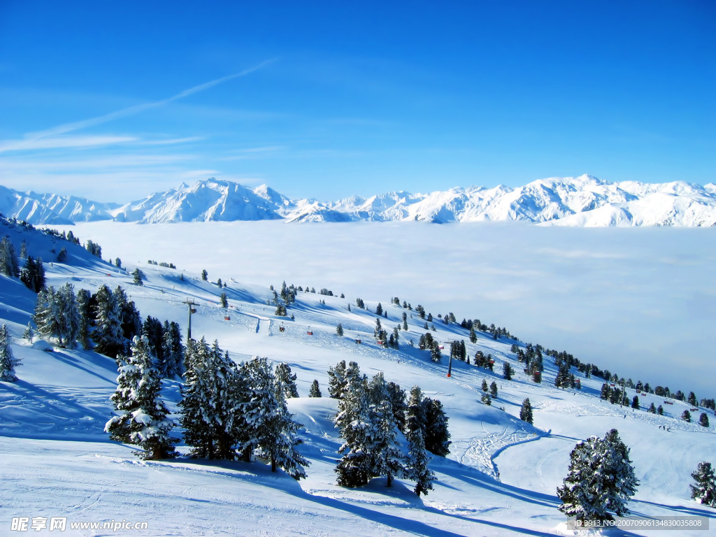 雪景
