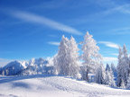 雪景