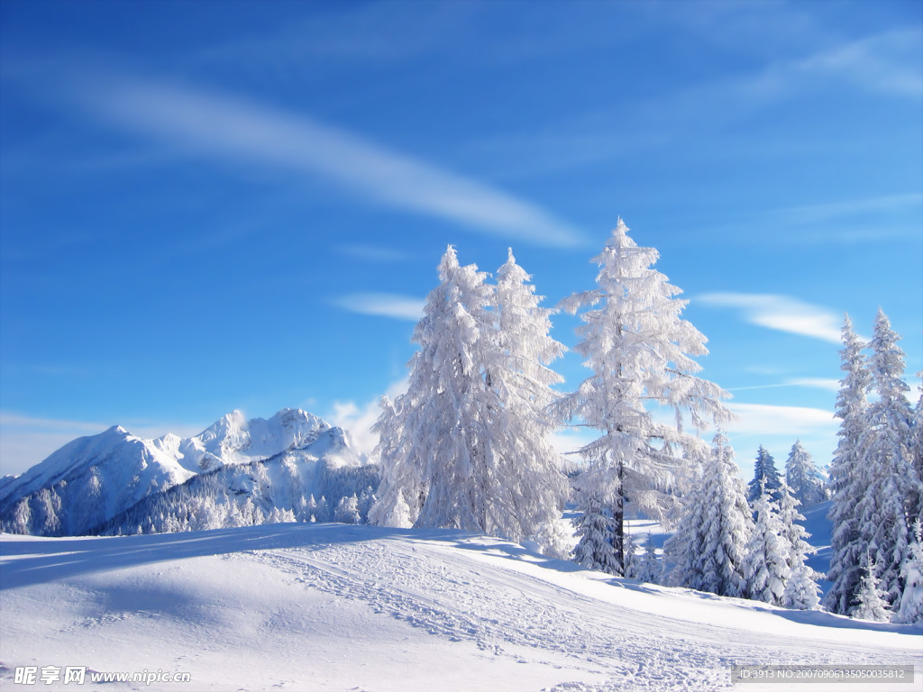 雪景