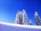 雪景壁纸