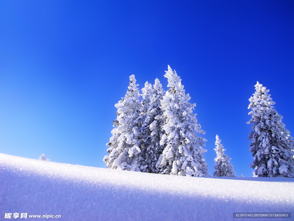 雪景壁纸