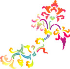 花纹