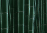 竹子素材