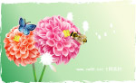 花卉蜜蜂