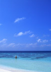 大海