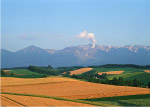 秋季田野