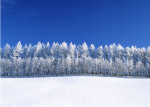 美丽的雪景