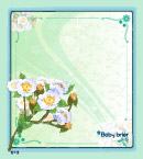 韩国花框