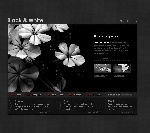 flash整站SWF文件04